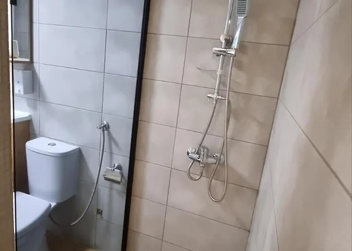 公寓 Panonski Raj 帕利克